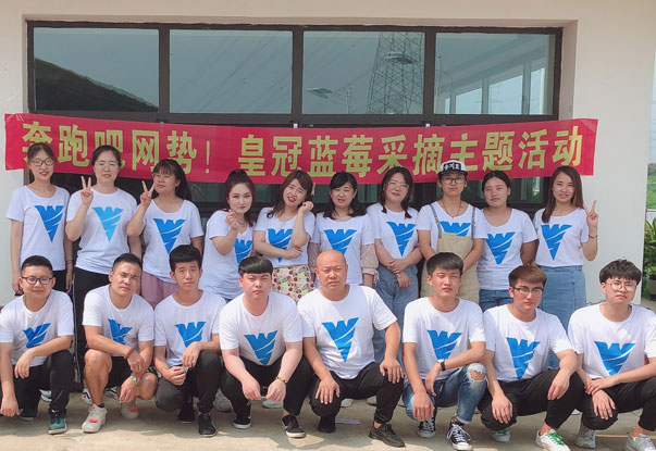 【奔跑吧網(wǎng)勢(shì)！】藍(lán)莓采摘主題團(tuán)建活動(dòng)